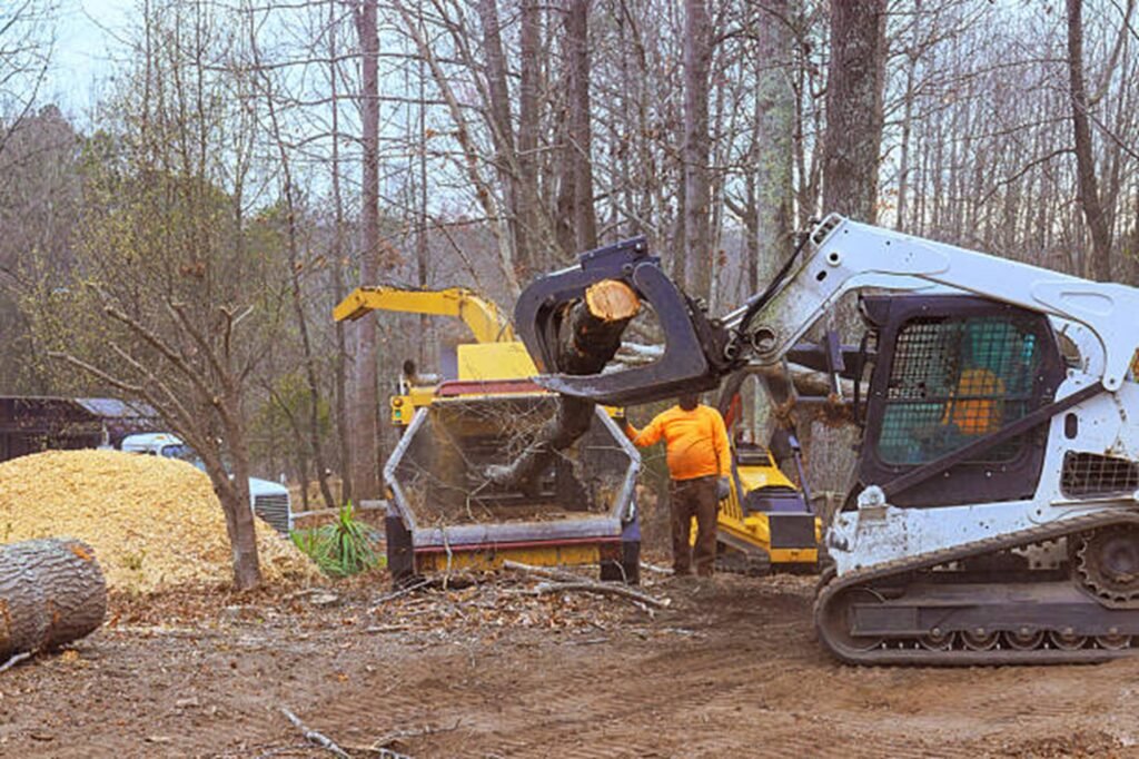 Residential property after professional tree removal with logs processed and the hazardous tree safely removed in Wentzville, MO.