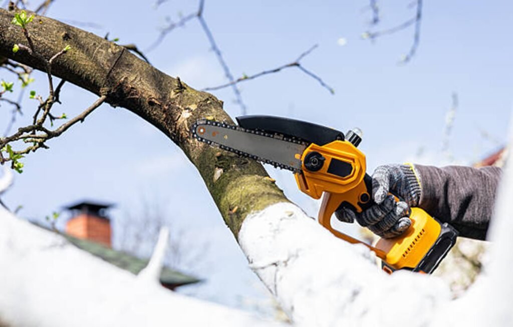Professional tree trimming specialist pruning a large tree branch with a chainsaw to improve tree health and safety in Wentzville, MO.
