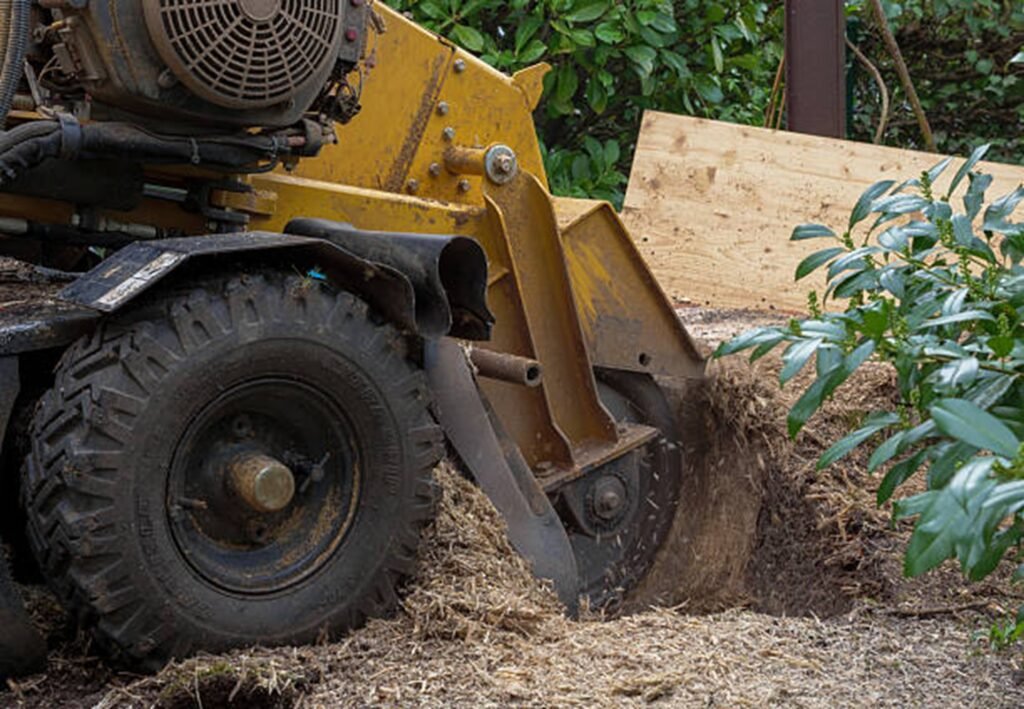 Professional stump grinding machine removing a tree stump from a residential yard during stump grinding and removal service in Wentzville, MO.