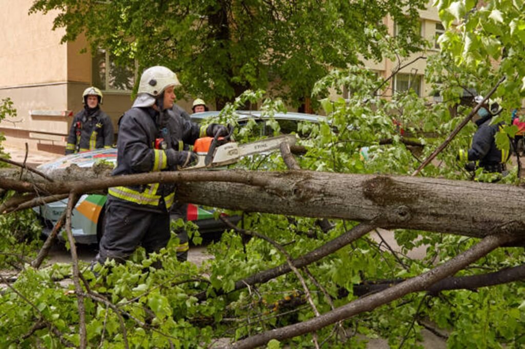Emergency tree service crew safely cutting and removing a fallen tree blocking a residential street in Wentzville, MO after severe storm damage.